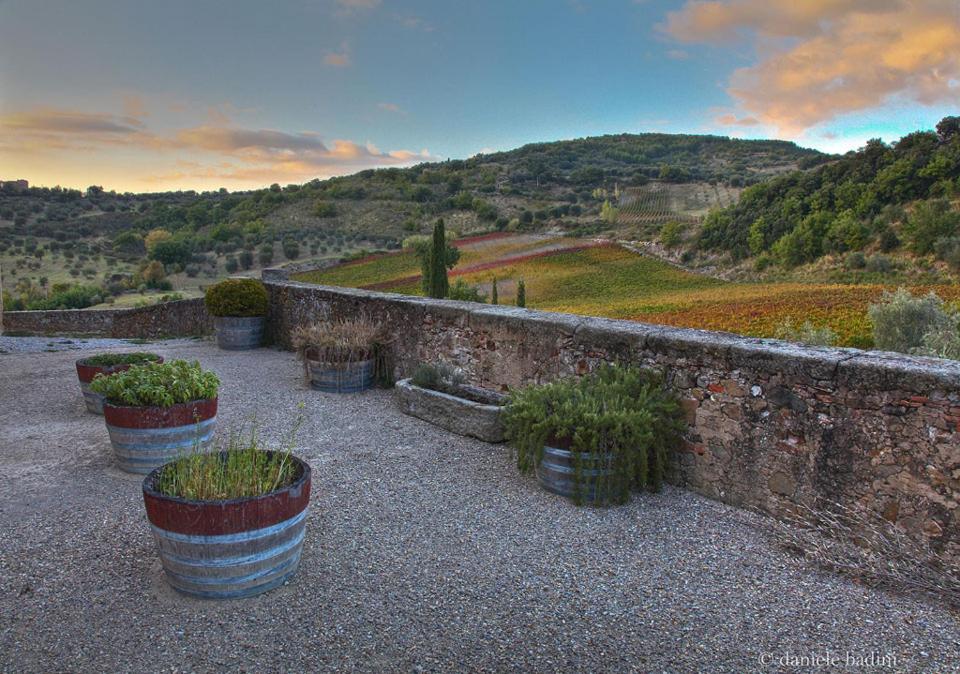 Апартаменты Dimora Toscana Седжано Экстерьер фото